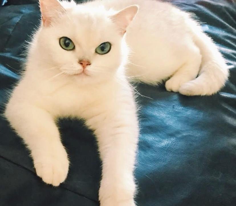 Linda