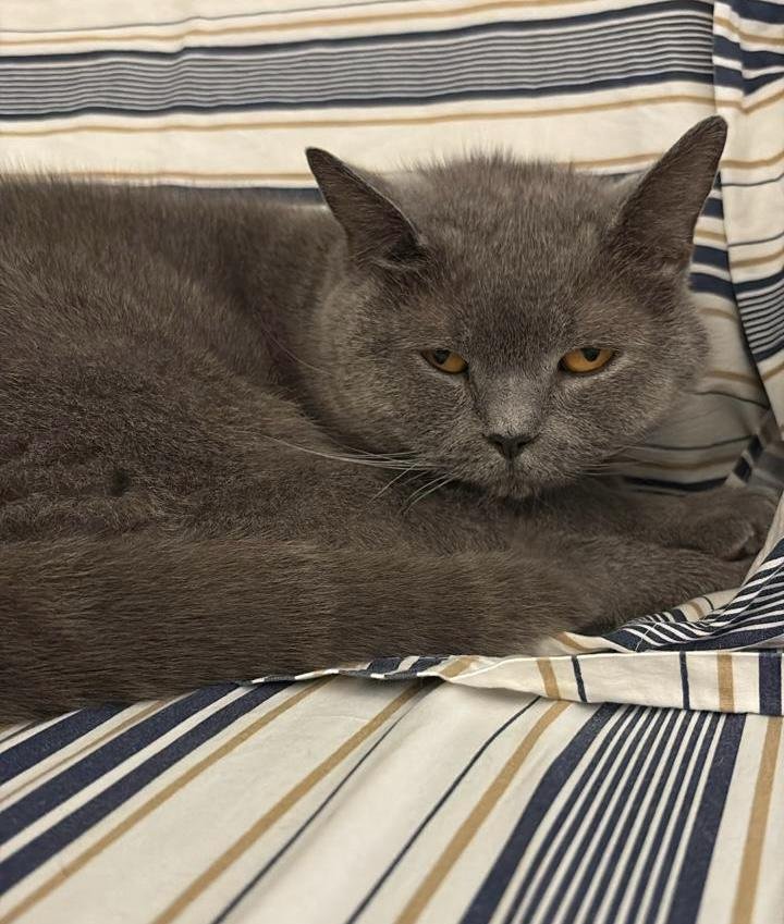 Sophie