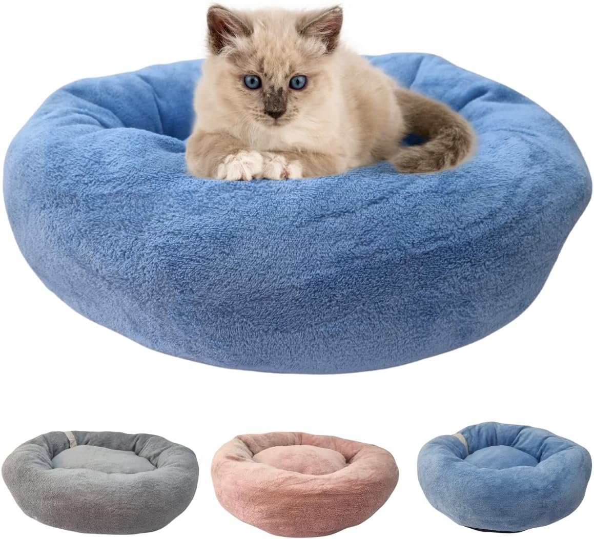 Caminha Para Gato Nuvem
