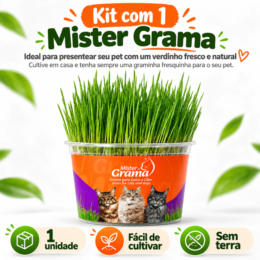 Kit de grama para gato com sementes