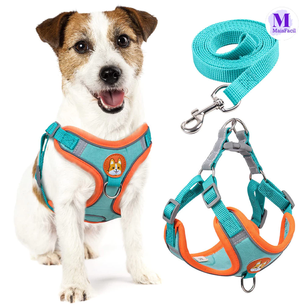 Kit de passeio com peitoral e guia